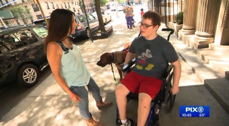 Service dog bonds with special needs teen